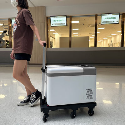 time 1 YEAR 25L Solar Portable 2-8 Degree Lab Medical Vaccine Refrigerator For Biomedical