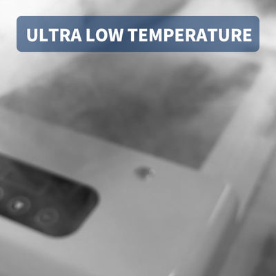 Refport Portable Freezer Keep Your Food Fresh Anywhere with 12V/24V DC and 110-240V AC